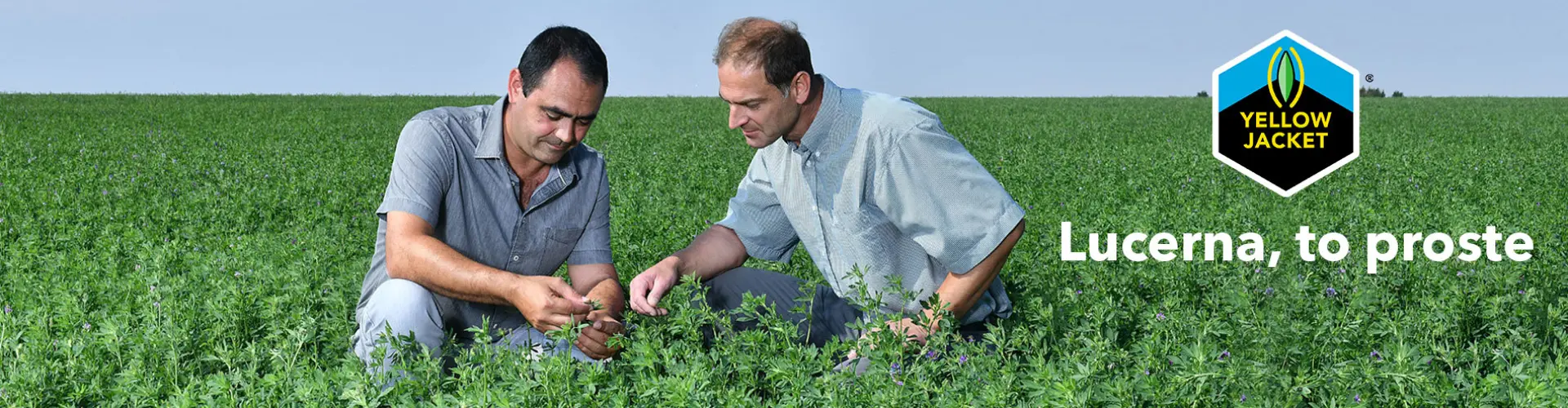 PH_Barenbrug_YellowJacket_Nitrogenerator_pl_03