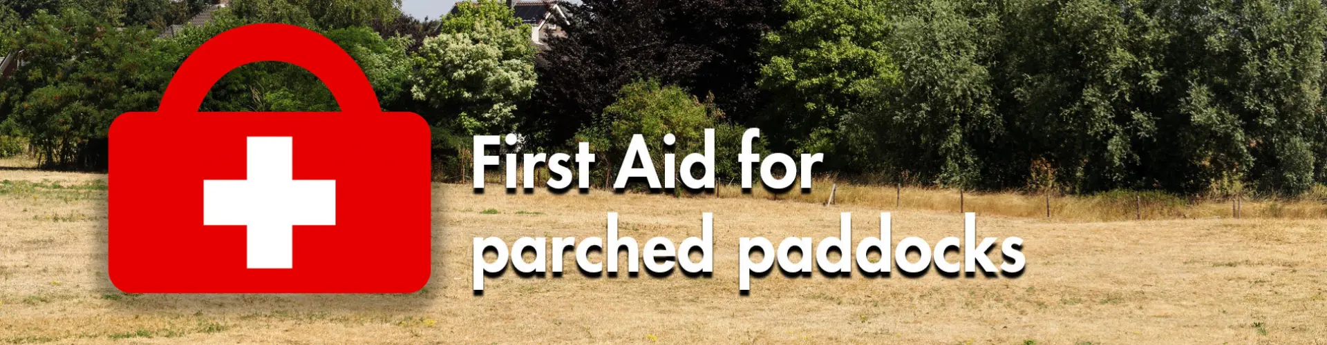 First_Aid_for_parched_paddocks