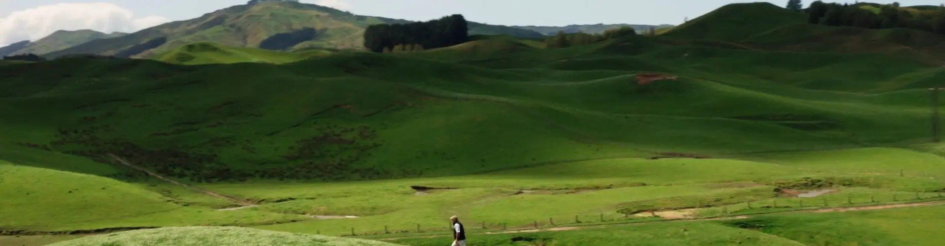 Barenbrug_Corp_pic_08