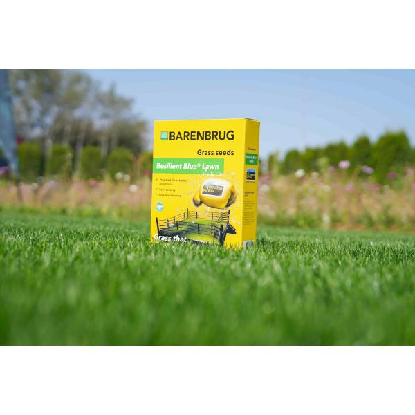 Resilient Blue Lawn 2