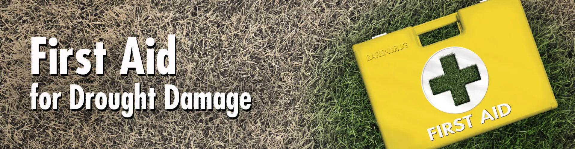 HEADER_First-Aid-ENG_500