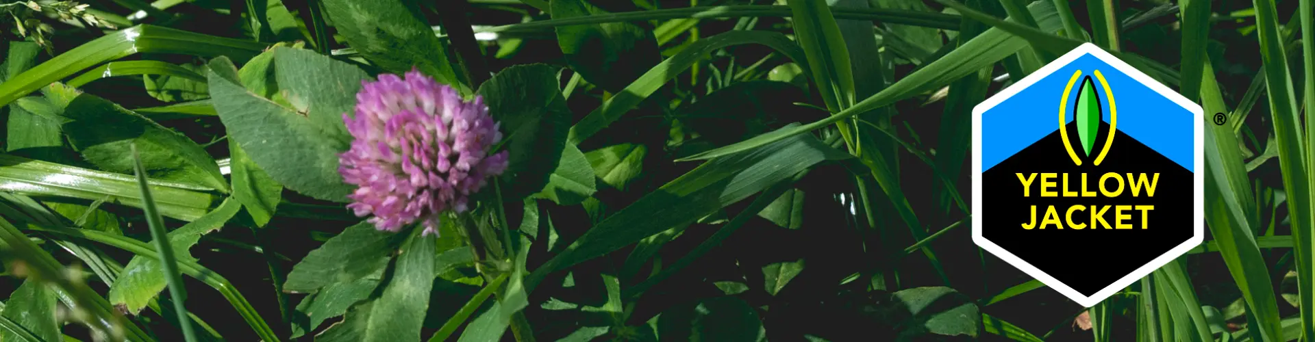 head_challenge_solutions_onze_klaver_is_klaar_voor_een_goede_start