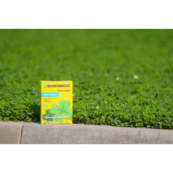 LAWN CLOVER