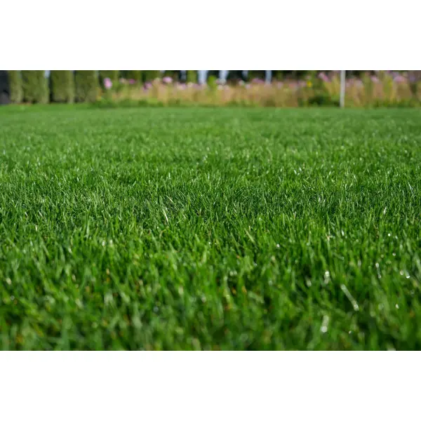 RPR Lawn 3