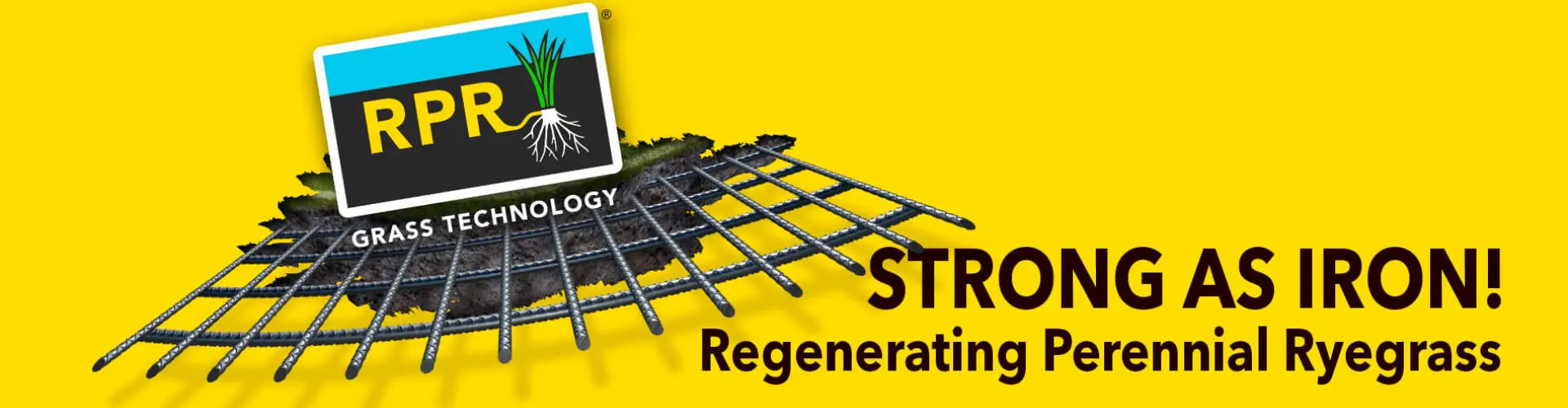 HEADER_RPR-ENG-1900x700-2024(1)