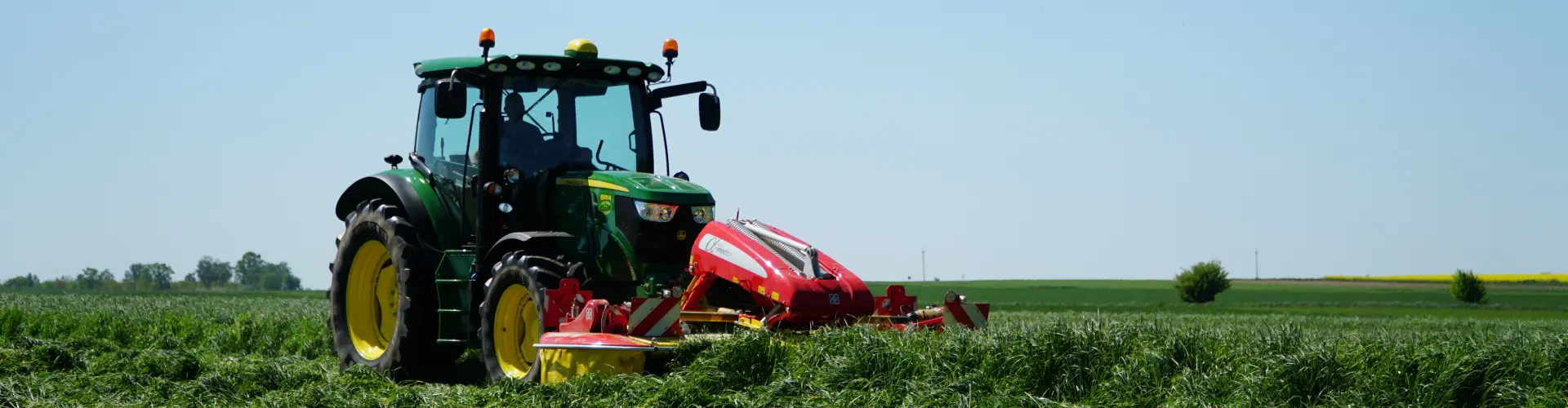 Head_challenge_solutions_how_make_the_best_first_cut