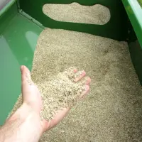 Zadbaj o swoje pasze objętościowe i podsiej na czas!