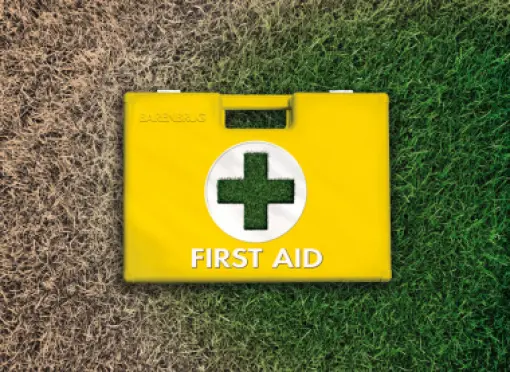 Visual_link_FirstAid-grass_900
