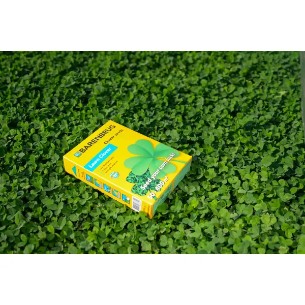 LAWN CLOVER