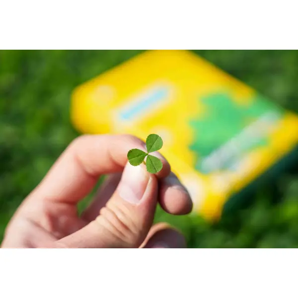 LAWN CLOVER