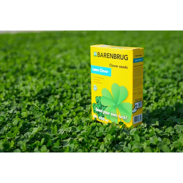 LAWN CLOVER