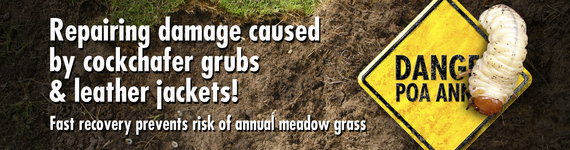 HEADER_Damage-cockchafer_500.jpg