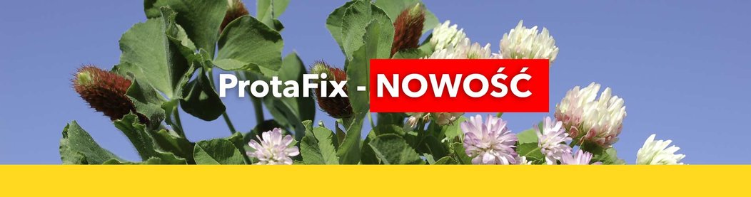 PROTAFIX--nowa-mieszanka-poplonowa.jpg