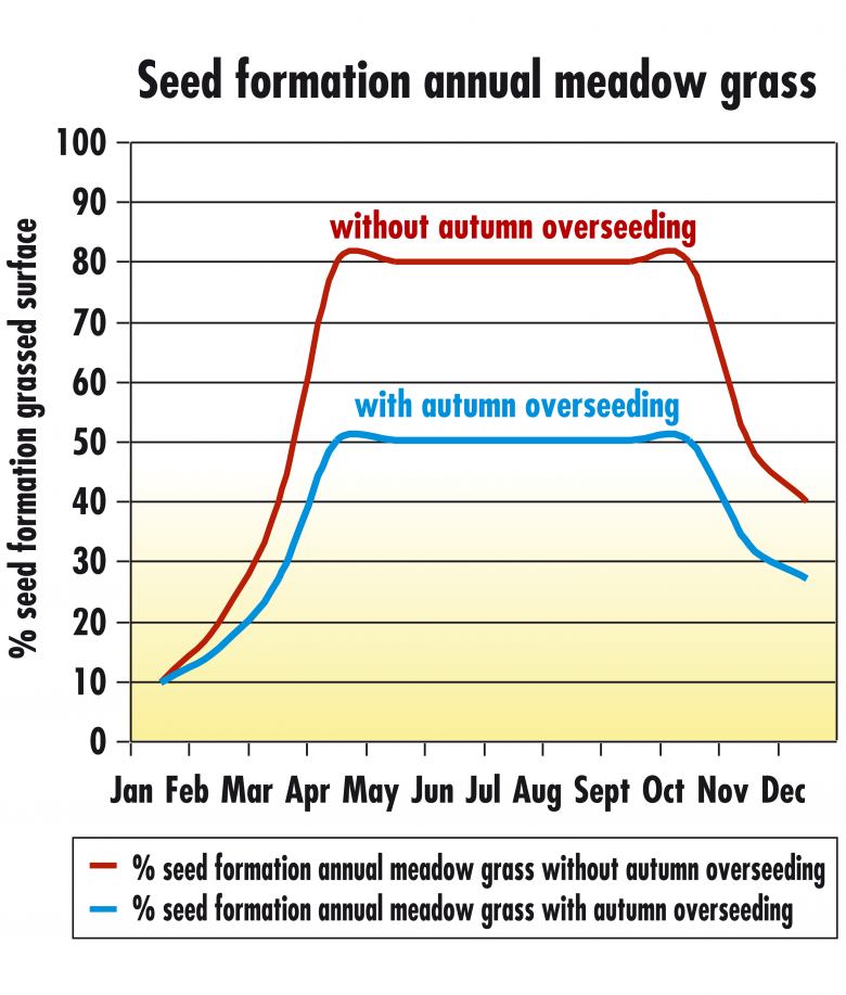 graph-seed-formation-poa-annua.png