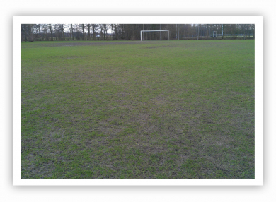 schade_regen_grasveld.jpg